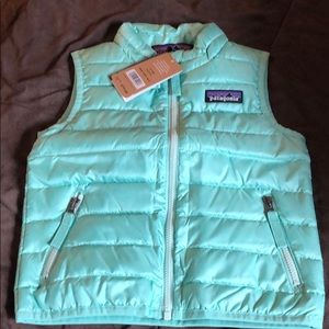 Gently Used Patagonia Vjosa Green Vest